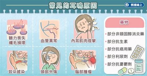 頭轉動耳朵有聲音|耳鳴怎麼辦？耳鼻喉科醫師解析原因、治療、解決方法